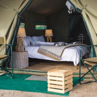 Namaqua Flowers Beach Camp - Strandfontein - 3