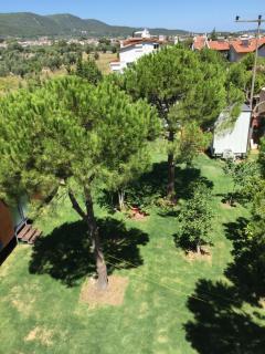 sakız tinyhouse - Urla - 4