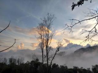 A ver Aves, mágico lugar. - 6