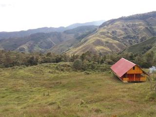A ver Aves, mágico lugar. - 2