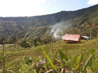 A ver Aves, mágico lugar. - 1