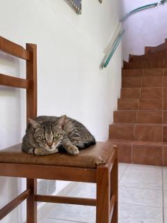 Villa Mance - Berat - 3