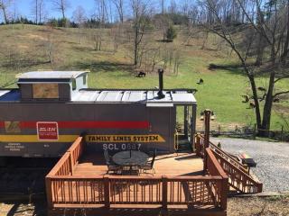 Seaboard Coastline #0887: Sleep in a caboose on a bison ranch - Clyde - 3