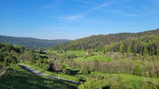Auberge La Tête En L'Air - Le Hohwald - 9