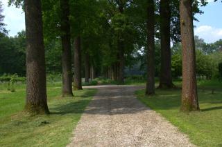 B&B Kasteel Den Tip - 5