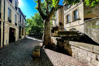 Terrasse ombragée avec vue, Quartier des Artistes - Avignon - 7