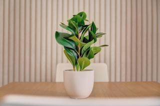 Jarauta 18 by Clabao - 3