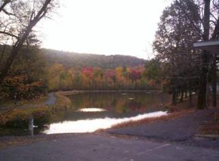 Gated Poconos cabin with Community Amenities - Bushkill - 6