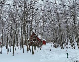 Gated Poconos cabin with Community Amenities - Bushkill - 9