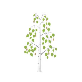 Betula Views Studio - Newent - 9