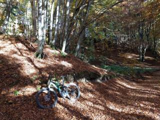 Dolomiti Experience, hike, bike&relax - Feltre - 4