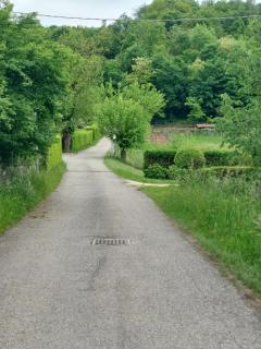 Dolomiti Experience, hike, bike&relax - Feltre - 7