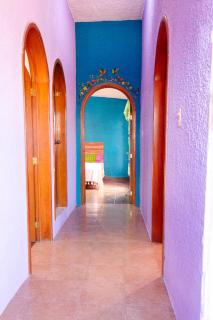 Casa los Colibrís centro histórico - Città di Oaxaca - 3