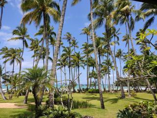3 BR First Line Beach apt at playa bonita El paraíso building 101 - Las Terrenas - 9