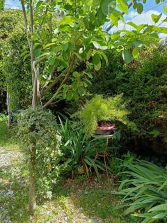 B&B Porte Rosse - 6