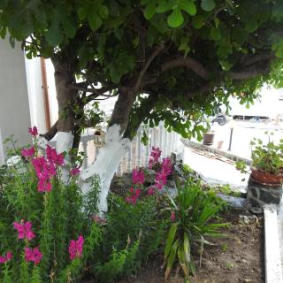 Riviera Beach Hotel - Sosopol - 3