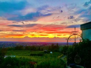 Exklusive Wohnung mit Panorama von Schwarzwald bis zu den Vogesen - 4