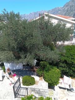 Prcanj Beach Apartment - Kotor - 5