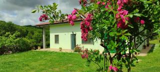 Pia's house garden - Campobasso - 9