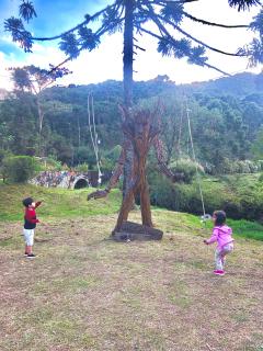 Chalé Campestre - 3