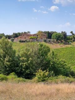 Podere Sole - Trequanda - 0