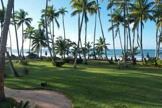 3 BR First Line Beach apt at playa bonita El paraíso building 102 - Las Terrenas - 3