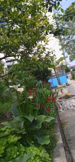 Green Oasis Holiday Home Vlore - 4