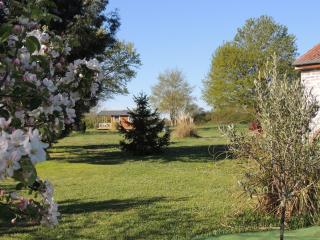 CHALET 4 personnes maxi tout confort location en gîte - Chazemais - 2