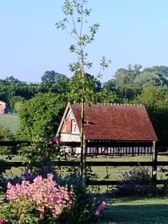 Gite A la petite Bretonnière - Saint-Pierre-des-ifs - 8