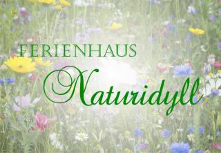 Ferienhaus Falkenhagen mit Garten - 9