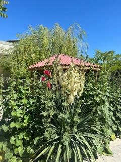 Ralina Restaurant and Hotel - Ararat - 1