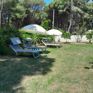 Melisa Apartment - Vlorë - 7