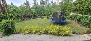 IQHaus Villa - - 2