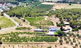 Masia St Salvador 1582 - Cubelles - 7