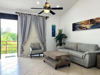 Spacious 2 Bed 2 Bath L Great Walking Score - Jacó - 5