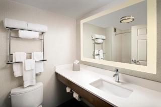 Holiday Inn Express & Suites Baltimore - BWI Airport North by IHG - Linthicum Heights - 4