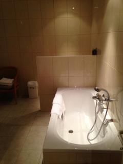 Hotel Thermen Mineraal - Rijmenam - 8