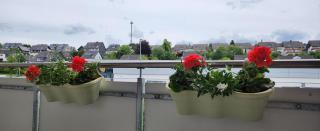 Apartment Tina - Winterberg - 6