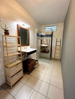 Grand studio de standing avec jardin et terrasse - Bourda - 6