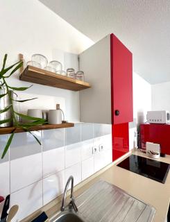 Grand studio de standing avec jardin et terrasse - Bourda - 2