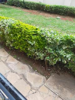 Cozy Haven - Nairobi - 3