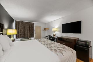 Americas Best Value Inn Orlando, FL - 4
