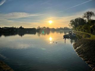 Mehrere Ferienwohnungen in Top Lage in der Nähe eines Rhein-Strandbads - 4