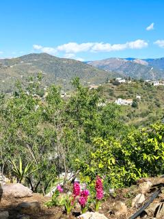Casa Mora, privater pool, Meerblick, toller Garten - 3