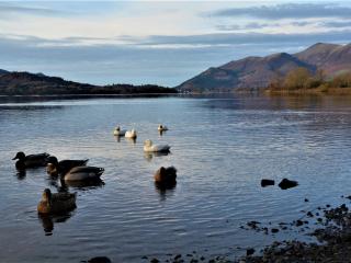 1 Bed in Keswick 86245 - Rosthwaite - 1