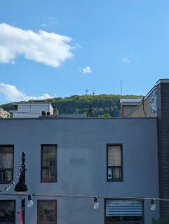 2 Bedrooms, 1 Sofa bed and 1,5 Bathrooms, Renovated Apartment in the Heart of Plateau Mont-Royal - 7