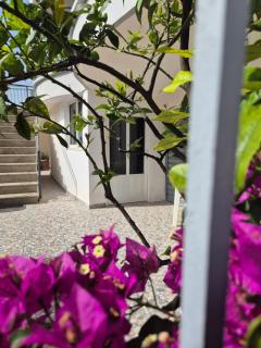 Floar Appartament - 6