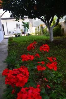 Rustic Tale Guesthouse - Tale - 1