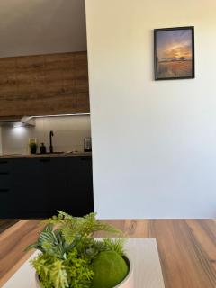 Apartman Živković 20 - 1