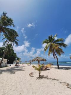 APPARTEMENT LES SAINTES, ANSE DES ROCHERS - Saint-François - 2